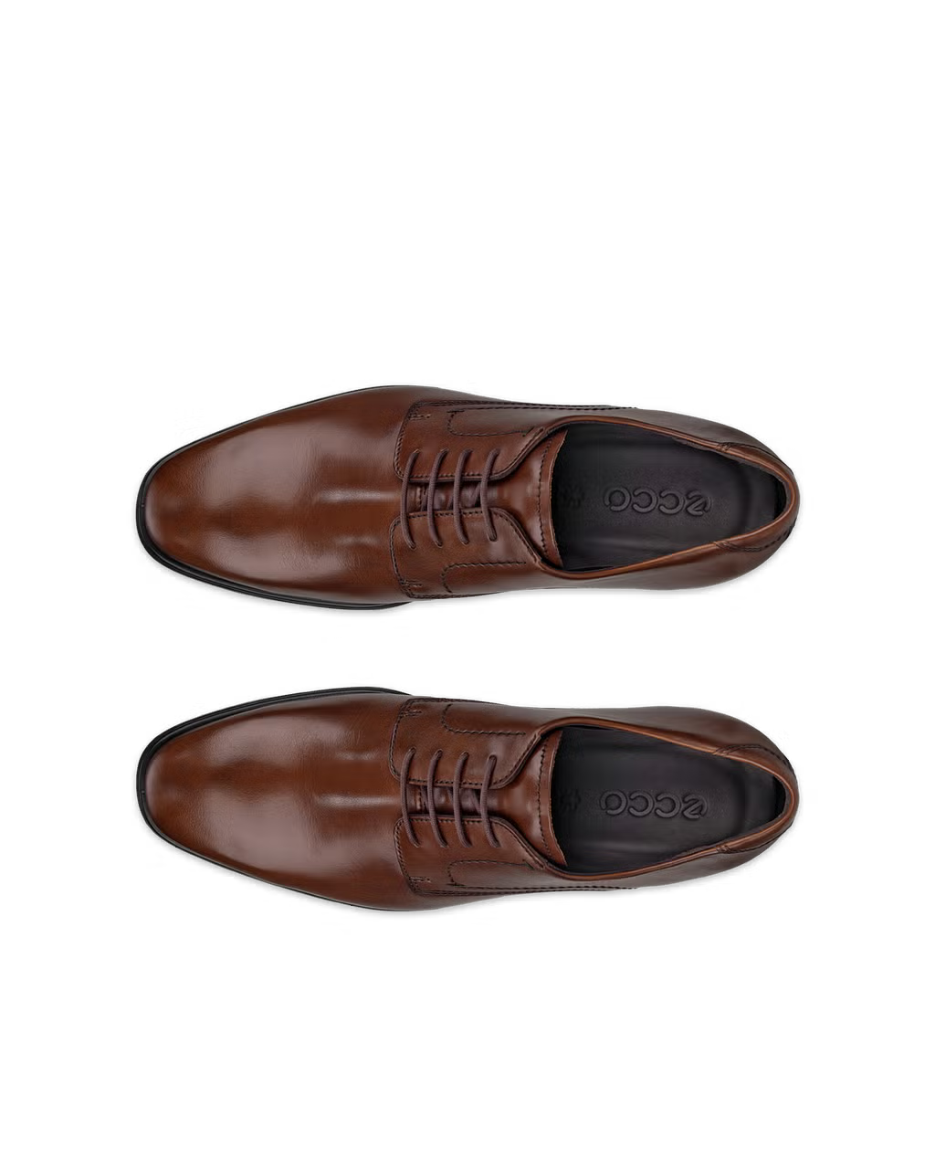 ECCO Melbourne ~ Men's Leather Derby Shoe