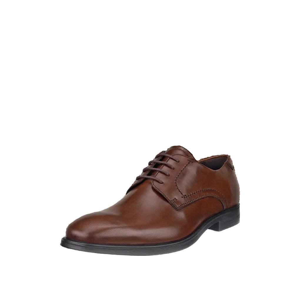 ECCO Melbourne ~ Men's Leather Derby Shoe