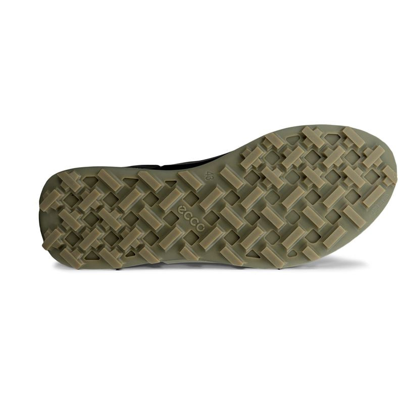 ECCO Biom 2.1 X Mountain M