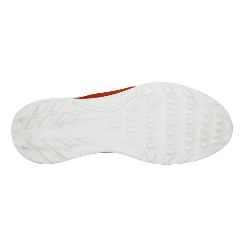 Ecco M Golf Biom C4 White